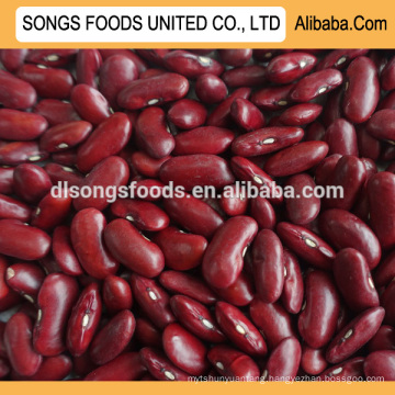 Long Dark Red Kidney Beans